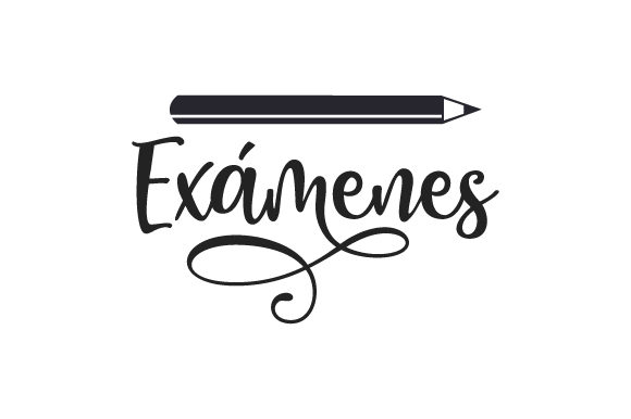 Agenda: A Versatile Design for Creative Embroidery Projects